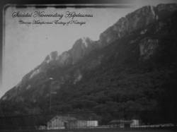 Chronic Metaphorical Ecstasy of Nostalgia